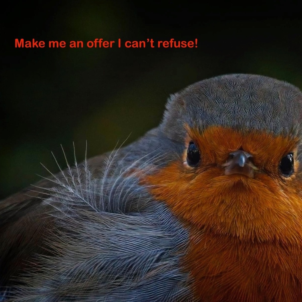 Offers are always welcome ....